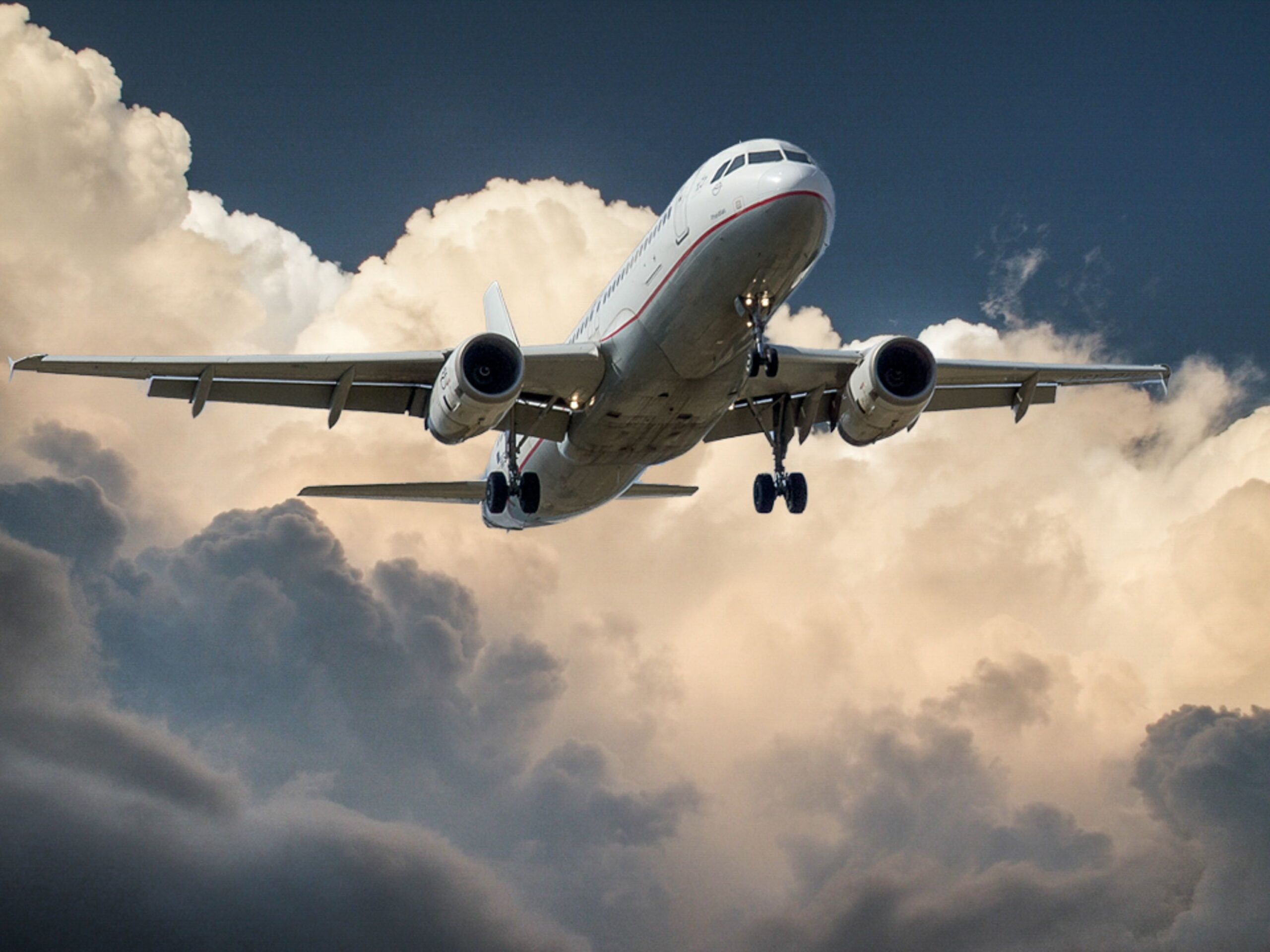 Best Travel Insurance for Japan and Asia Trips
