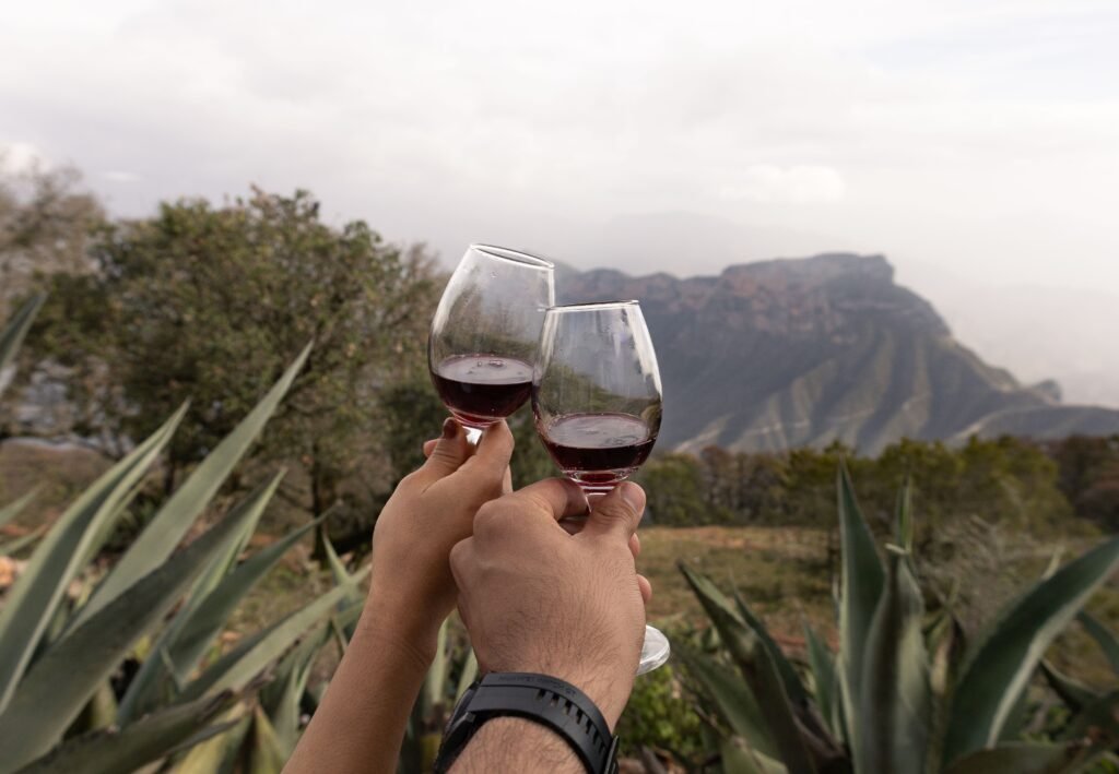 Valle de Guadalupe wine guide